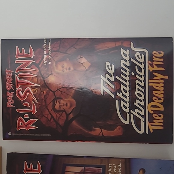R.L. Stine Book Collection - Picture 5 of 10